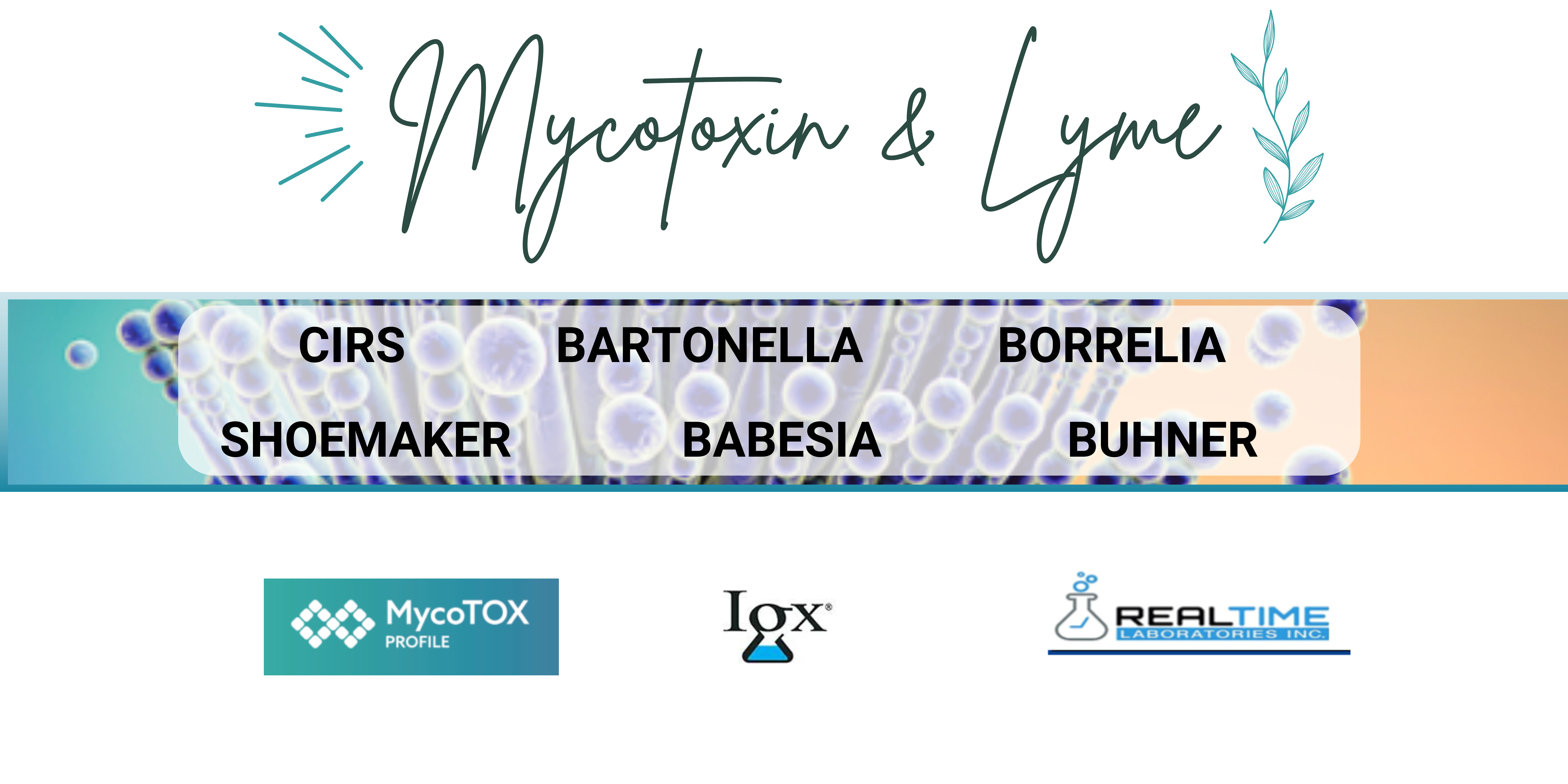 Environmental Toxins & Health